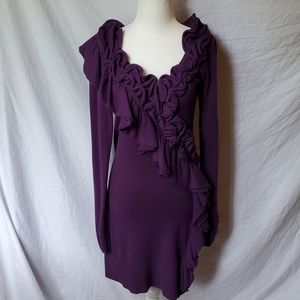 Ruffled Fitted Sweater Dress